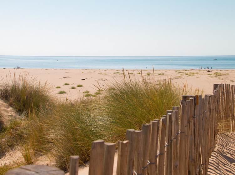 Orpellieres-Dunes-@Karinegregoire-2 Sérignan plage naturiste