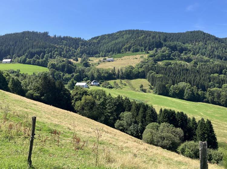 Originaires de notre Magnifique Vallée de la Bruche