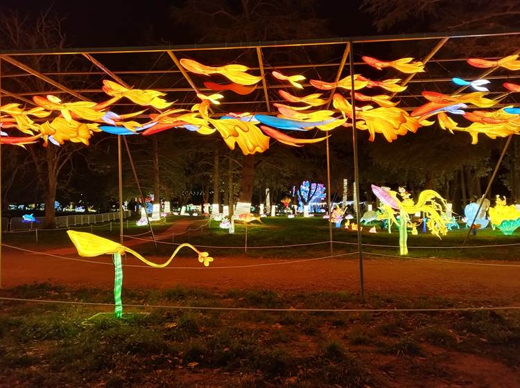 Les Splendeurs de Chine à Céret