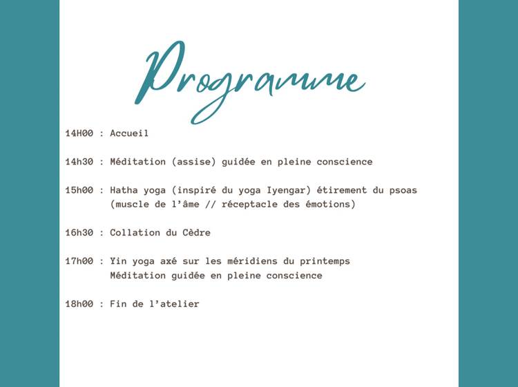 programme de l'atelier yoga