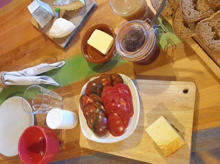 Petit déjeuner fromage et tomates du jardin