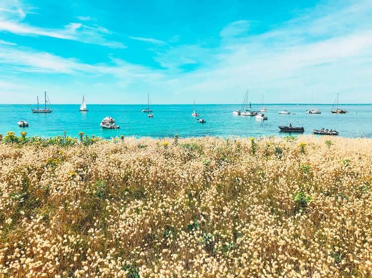 Île de Penfret les Glénan Fouesnant