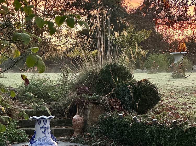 beauté du jardin en hiver