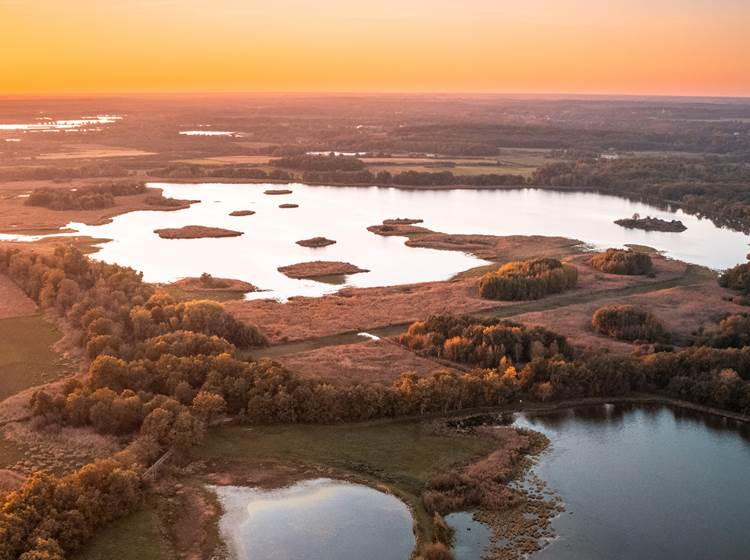 Parc Naturel Régional de la Brenne