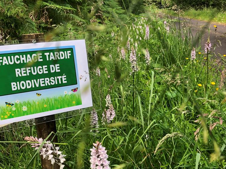 fauchage tardif, refuge de biodiversité