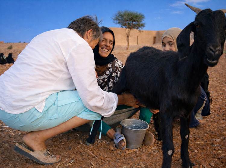 l'heure de la traite