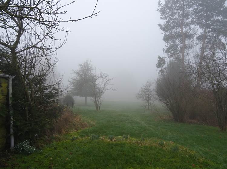Jardin du gîte 1 dans le brouillard