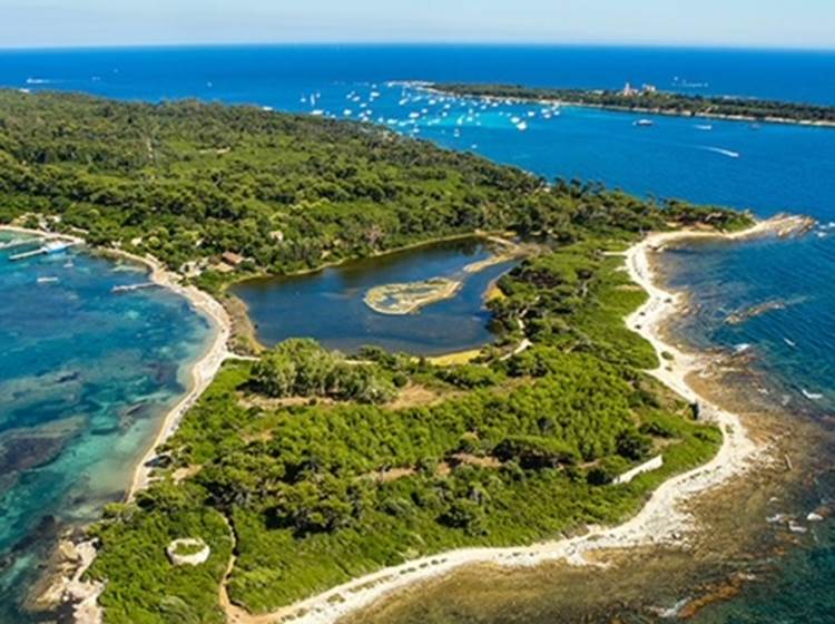 ILES DE LERINS LE JOYAU MEDITERANNEEN