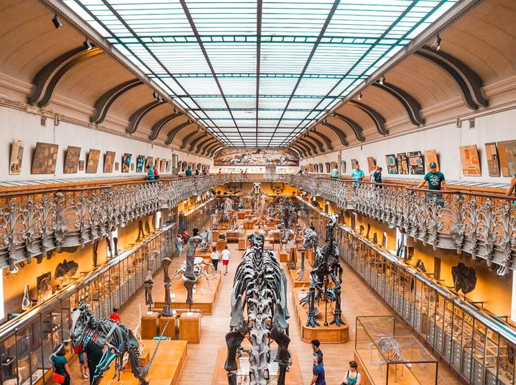 Muséum d'Histoire Naturelle