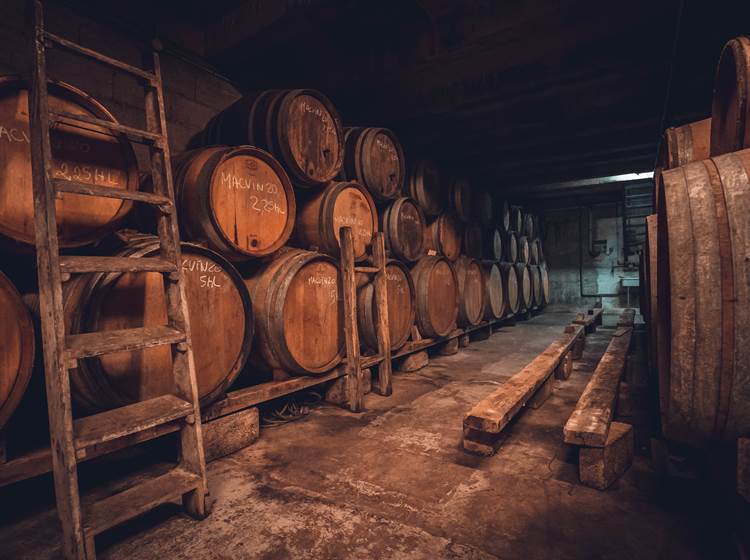 DOMAINE BAUD Génération 9 Cave Macvin (2)