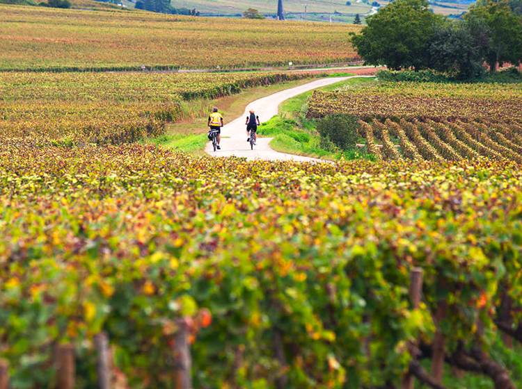 Cyclotourisme en Bourgogne