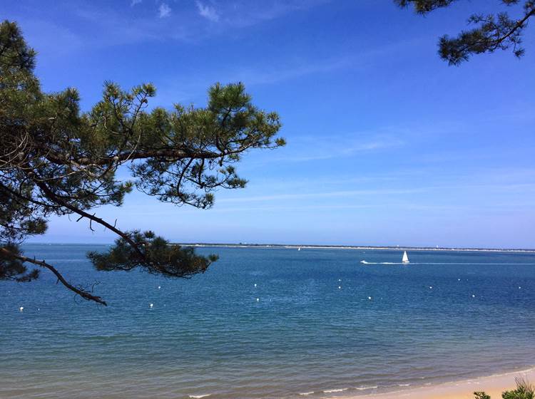 Bassin d'Arcachon-Locaplage