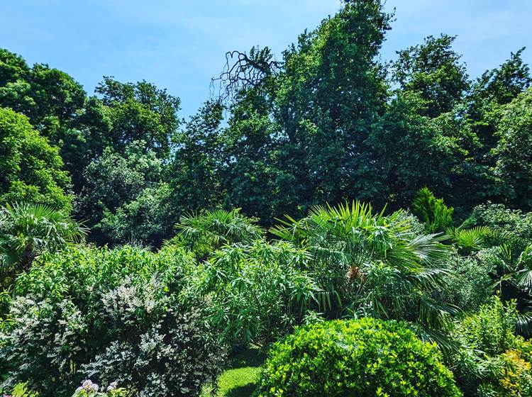 vue de la terrasse du jardin luxuriant