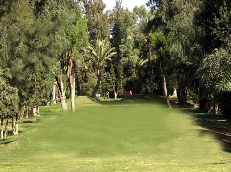 Golf Royal Marrakech - Par 3
