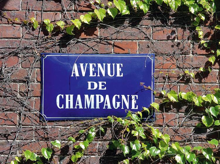 Avenue de Champagne Epernay