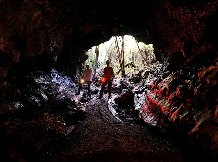 L'Orée du Maïdo - les mystères souterrains des tunnels de lave