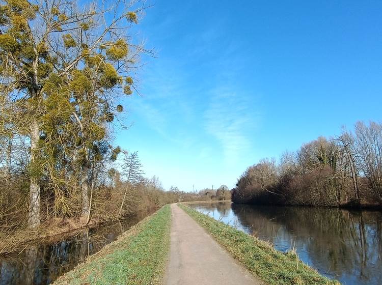 Les bords de Somme à Abbeville