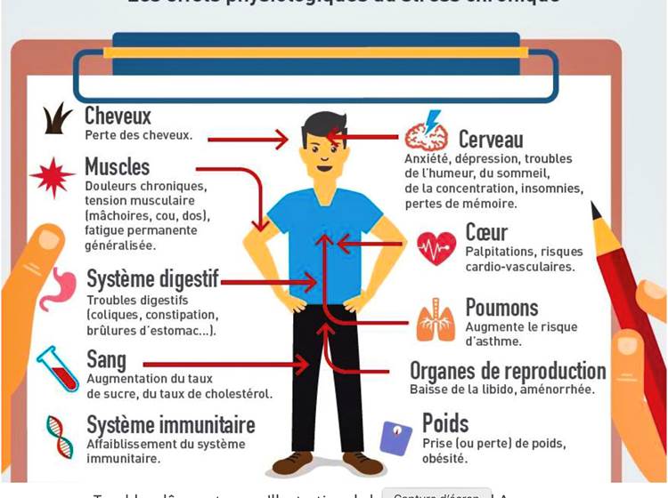 de quelques symptômes causés par le stress chronique-page