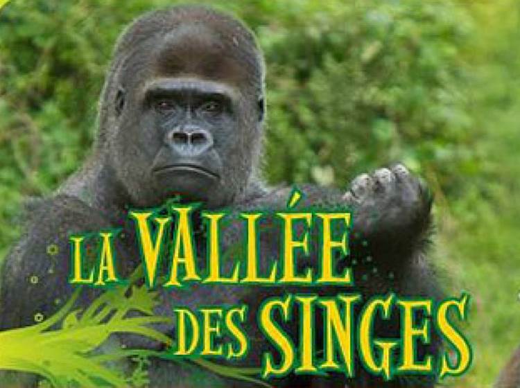 vallee-des-singes-7-page