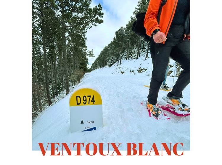 Le Mont Ventoux enneigé