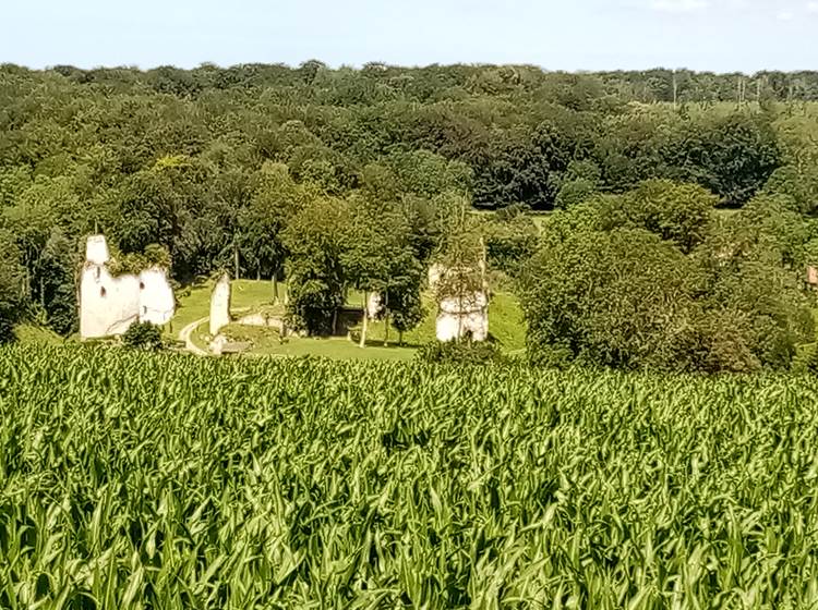 Les ruines du château de Fressin au cours d'une randonnée