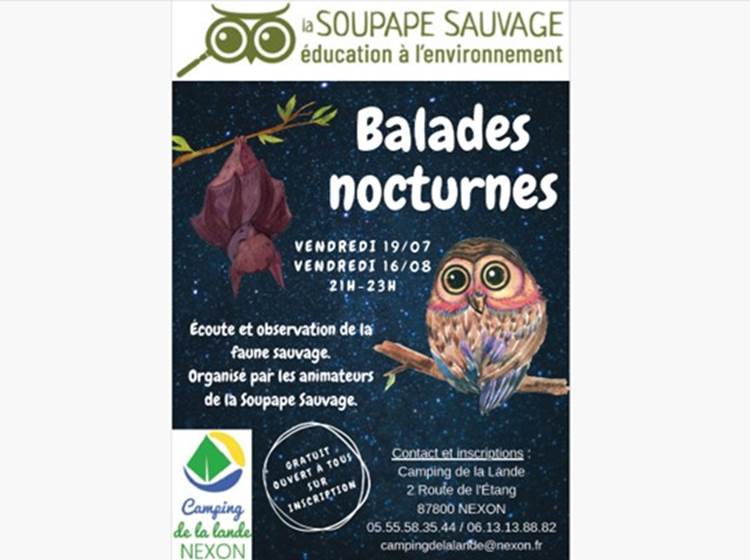 Balades nocturnes 2024
