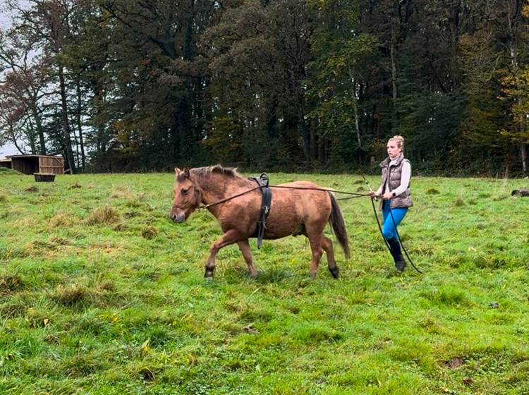 Un moment de complicité avec mes chevaux, reflet de ma philosophie de vie