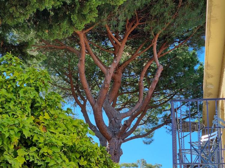 Chambre sur jardins
