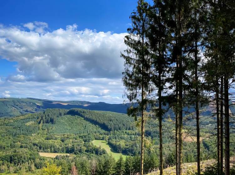 Massif des Monédières