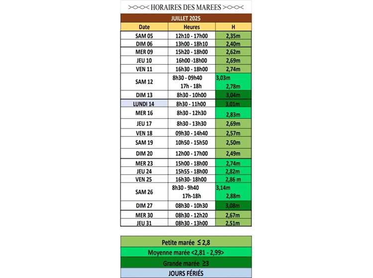Calendrier juillet