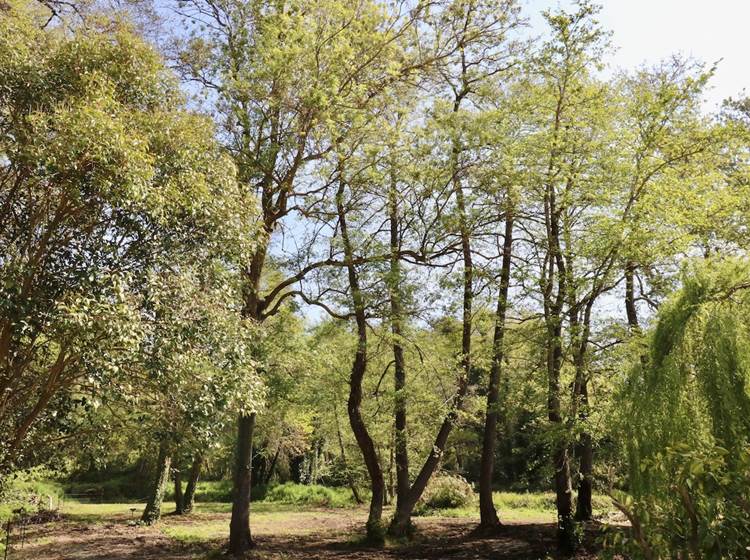 Gites Terra di a Bravona - Appartement Elia Vue sur Parc