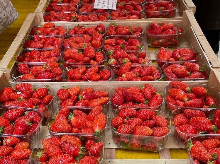 fraisesduperigord-sarlat-produitduterroir