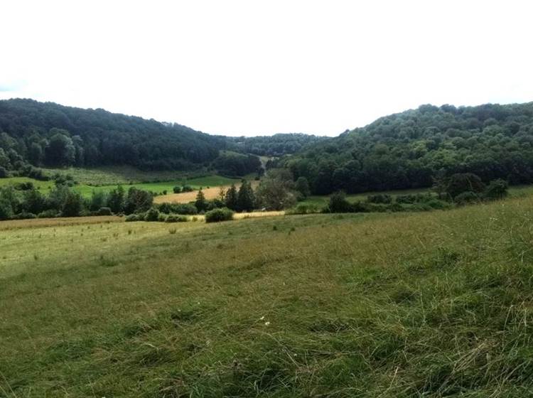 Paysage ardennais, entre Chaumont (08) et Bulson (08) à 4 km de notre gîte