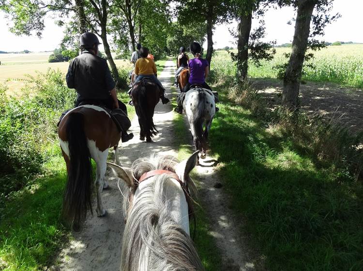 Randonnée à cheval