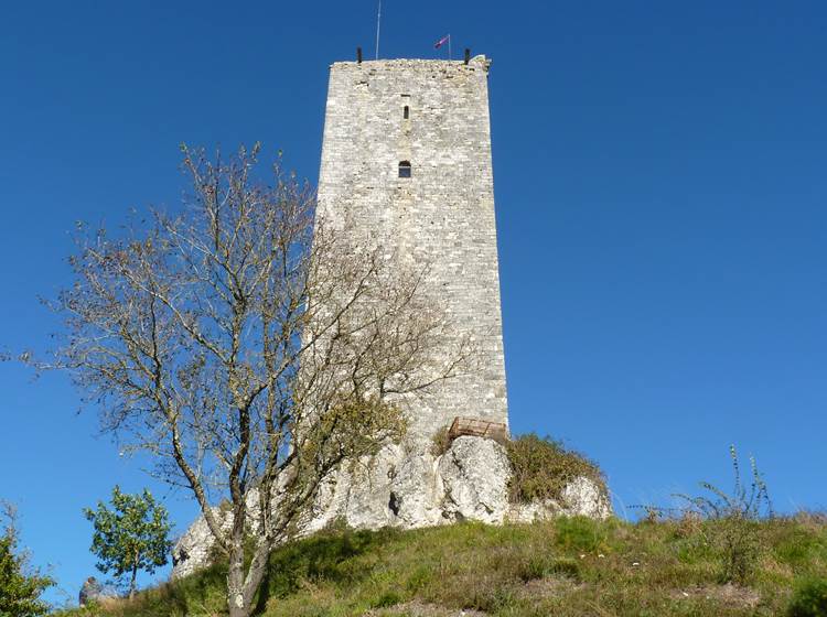 Montcuq