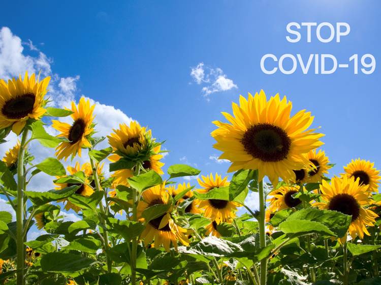 Stop Covid 19