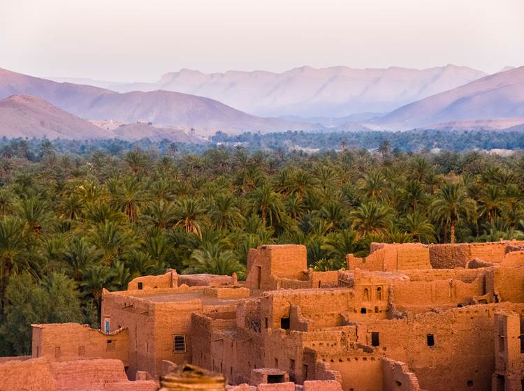 Bienvenue au Royaume du Maroc - Tamnougalt