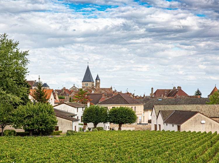Buxy proche de Bed and Bourgogne - Chambres d'hôtes à Messey-sur-Grosne