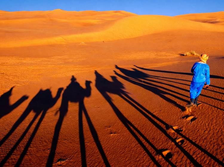 Randonnée chamelière au coucher du soleil
