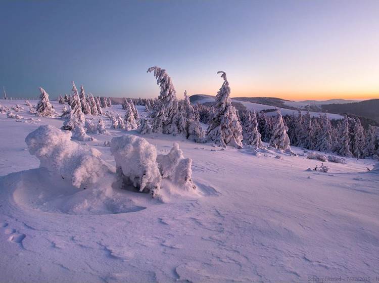 Les Hautes-Vosges en hiver