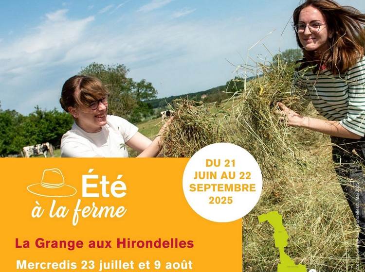 Sans titre