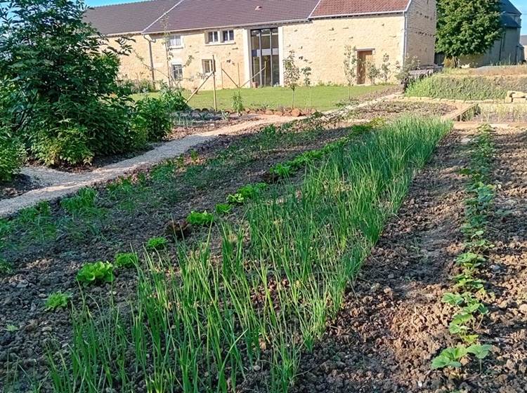 Notre potager prend forme...