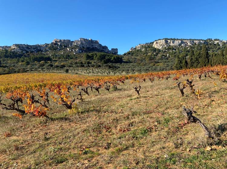 Vins des Alpilles