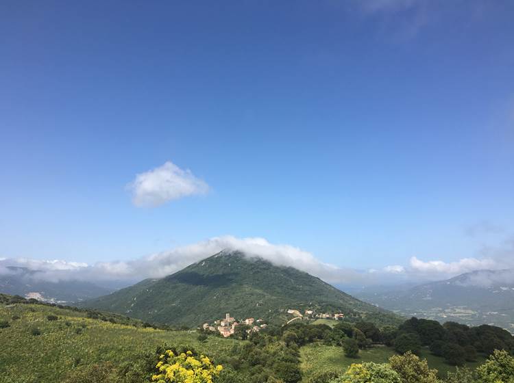#Arbellara #Corse-du-Sud