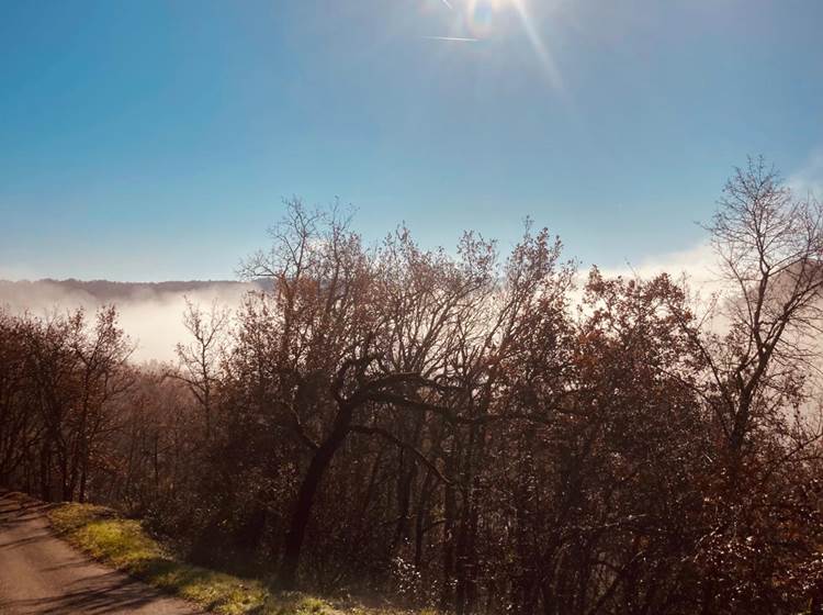 Journée d'hiver sous le soleil