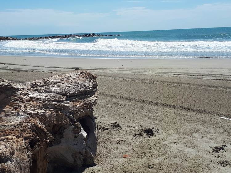 La plage sauvage de l'Espiguette