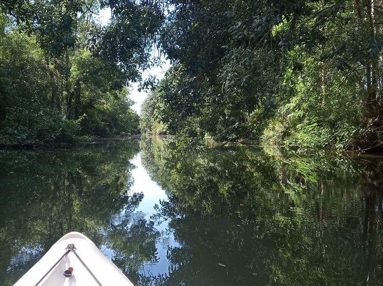 balade en canöe sur la Seugne