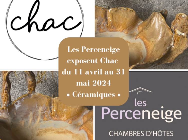 Affiche Expo Chac