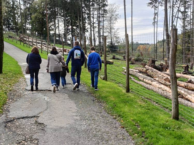 Parc Forestia - visite en famille