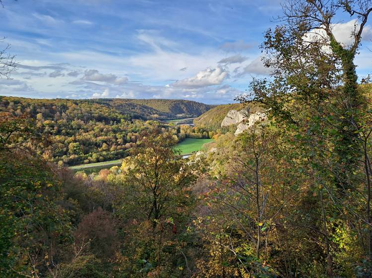La Meuse vers Freÿr en automne